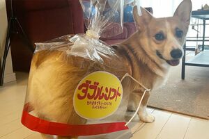 食パン仮装でネット民を悩殺したうーろん（♂）