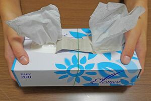 「分けられるものは半分に（2）」YouTube「かえるカエルch【4人家族の節約と貯蓄】」より