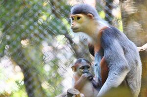 4月23日に生まれた「マニ(男の子)」。親子が寄り添う姿が見られるのも今だけ!