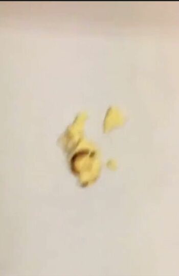 SNS拡散された『美少年』那須雄登とされる男性の動画、壁に投げつけられたシュークリームの残骸