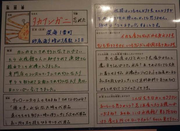 魚の生態をユニークに表現した「魚歴書」などの手描きポップ。魚たちを横目に、ジーッと読み込む人が続出