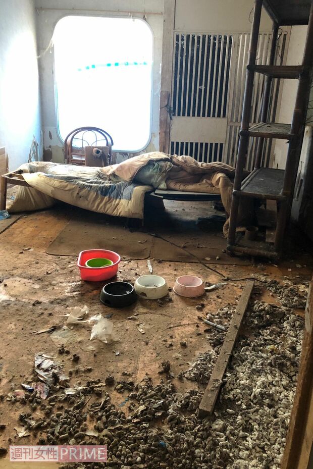 空き家とは別の建物の一角。ここでも猫が死んでいた