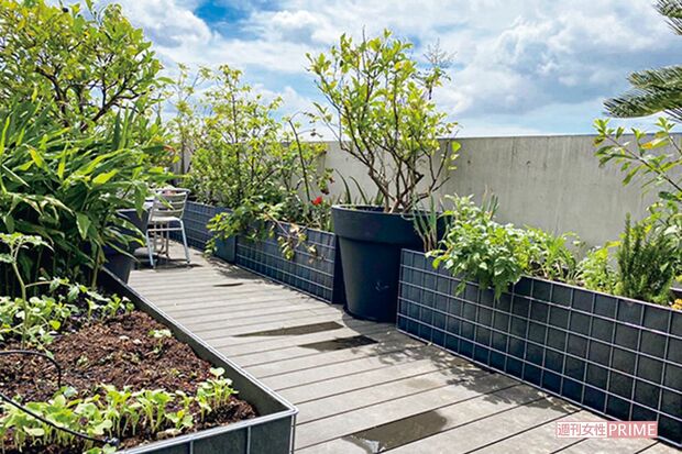 初回の放送で公開した、氷川の屋上ガーデン。なんて広くて、おしゃれなの!?　「でしょ（笑）。だからいつも、上に行くのが楽しみなんです」　撮影／廣瀬靖士