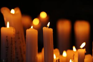 ※画像はイメージです