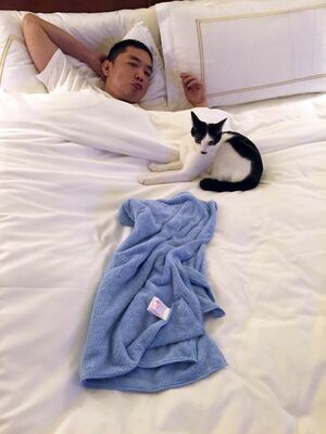 「これはホテルに泊まりに行ったとき。工藤ちゃんは旅行が好きみたい!　お気に入りの青いタオルを持ち込んで」