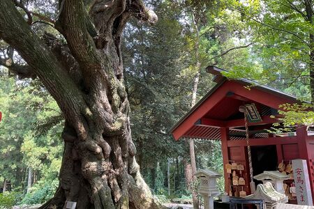 大杉神社境内勝馬神社【茨城県】