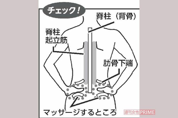 イラスト／水口アツコ