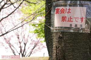 都内の公園では、庶民の楽しみを奪う貼り紙が