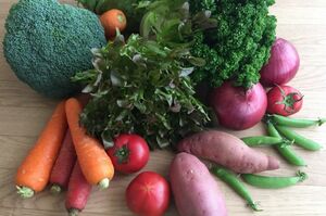 ※画像はイメージです