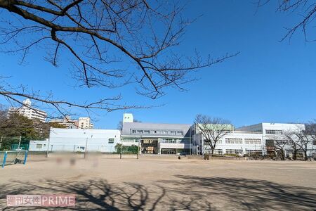 蚕糸の森公園と隣接する小学校