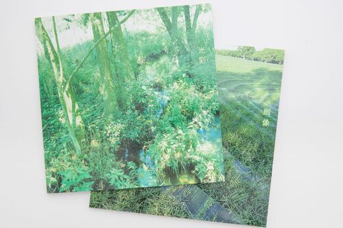 カメラマンの夫・哲さんが撮影した植物の写真を冊子にまとめて大切にしている。