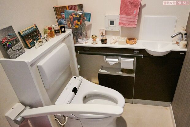 羽田空港の多目的トイレでは、トイレも車椅子から便座に移れるよう工夫が