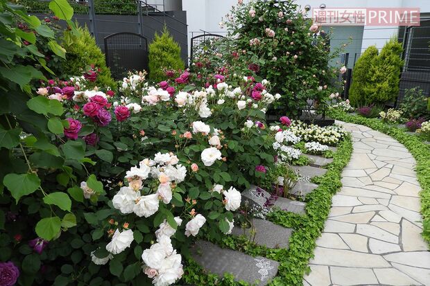 美しいガーデニングの樹木葬墓地　写真提供：井上理津子氏