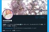 市井紗耶香のプロフィール画面（Twitterより）