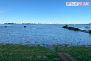 水没直後の中央学院大学のグラウンド。11月下旬までは消毒中だった(写真は同校提供)
