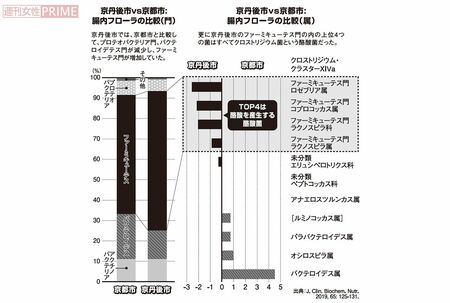 京丹後市VS京都市　腸内フローラの比較　グラフィック／スヤマミヅホ