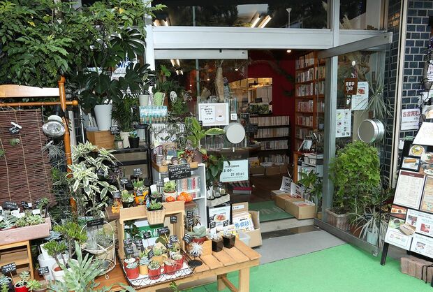 『弥生坂緑の本棚』の入り口は「緑」でいっぱい