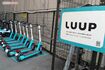 LUUP(写真はイメージです) 撮影/編集部