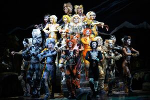 『キャッツ』　撮影：山之上雅信