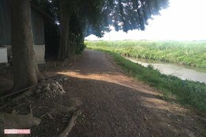 容疑者が道の真ん中で、長い棒を両手に持って、仁王立ちしている姿が目撃された