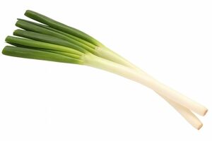 ※写真はイメージです