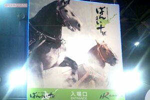ばんえい競走が行われている北海道・帯広競馬場 撮影/編集部