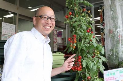 キッチンやベランダで! いま人気の「プチ家庭菜園」初心者がやりがちな失敗とは