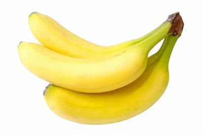 ※写真はイメージです