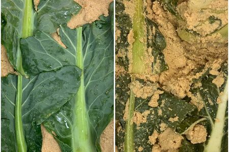 カリフラワーの葉や太い茎は、ぬか漬けがおすすめ。