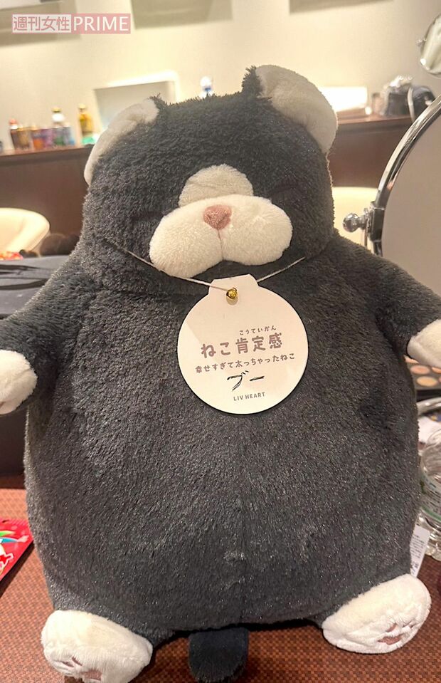 ブーさんの好きな“ねこ肯定感”のぬいぐるみ。タグに「ブー」と手書きが(笑) 撮影/加藤綾菜