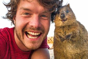 「ファニーでハッピーなクオッカの表情を目にすれば笑顔にならないほうが難しいはず」とアラン氏　撮影／アラン・ディクソン