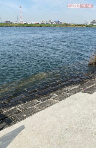 このように簡単に川に入ることができるようになっている