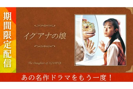 菅野美穂が2年ぶり連ドラ主演で夫・堺雅人とバトンタッチ、放送に向け期間限定配信の名作『イグアナの娘』の“衝撃姿”がネットで話題、リメイクなら母役にも期待（3ページ目）  | 週刊女性PRIME