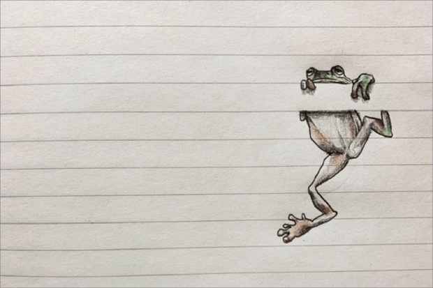 RT企画を始めるために書いたカエルのイラスト。