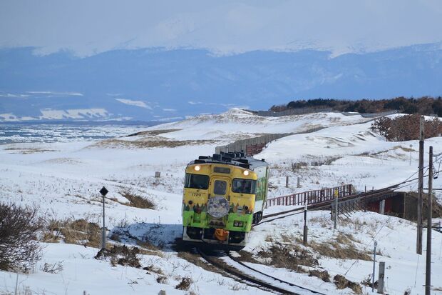 「流氷物語号」2両編成のコンパクトでレトロな車両が特徴