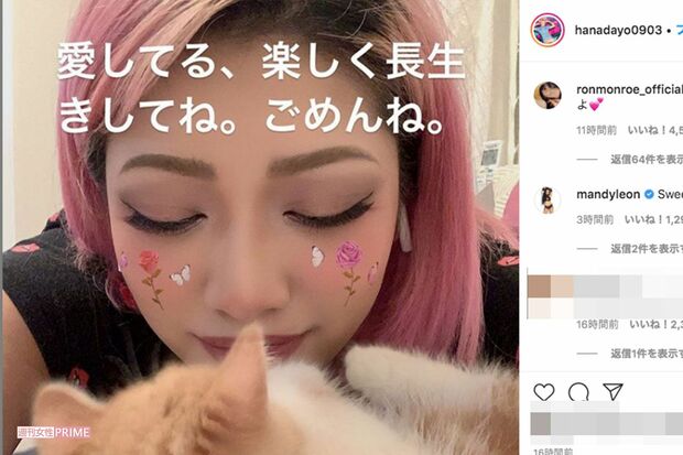 23日夜中の3時ごろにインスタグラムのストーリーにアップされた写真