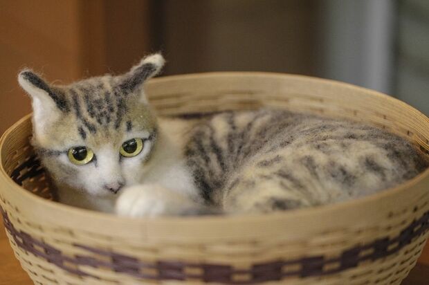 リアルすぎる猫人形で話題 「作るのは無理」と言われた