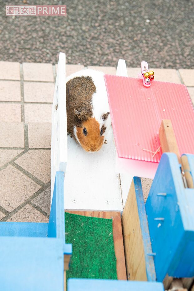（3）はるかちゃん、微動だにせず……