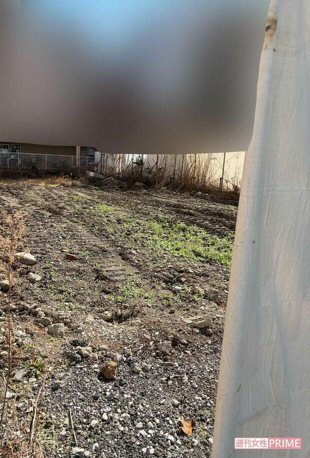 伊勢ヶ濱部屋建築予定の墨田区両国の土地。“建築費20億円のビッグプロジェクト“との報道も。国技館まで徒歩約5分の好立地