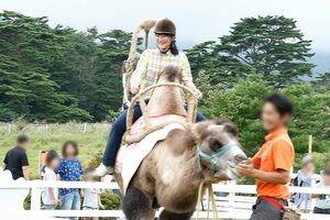 『那須どうぶつ王国』内のラクダの騎乗体験ではご両親に見守られながら楽しまれた(8月28日)