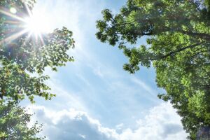 ※画像はイメージです