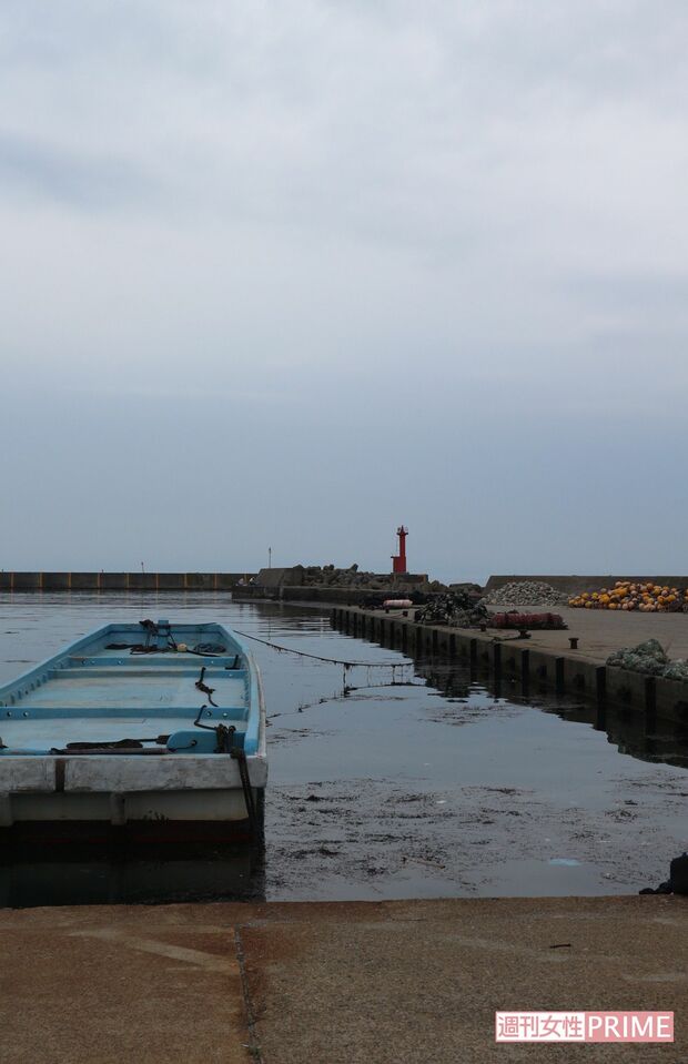 死骸を遺棄したとみられる四方漁港。実際に猫の死骸が見つかった