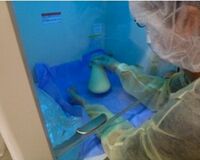 偽母乳ビジネスに騙されるな!  粗悪品から細菌1000倍を検出