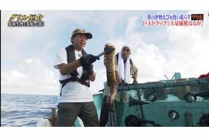 番組内で伊勢えび漁獲量減少の原因とされたウツボを捕獲し、持ち上げる城島（TVerより）