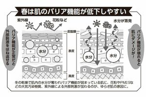 冬の乾燥で肌内の水分が奪われバリア機能が弱まっている肌に、花粉やPM2.5などの大気汚染物質、紫外線による外部刺激が加わるのが、ゆらぎ肌の原因に。