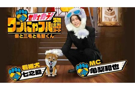 『世界を救う!ワンにゃフル物語 柴と三毛と亀梨くん』(テレビ東京系)で独立後初MCを務める元KAT-TUNの亀梨和也(番組公式サイトより)