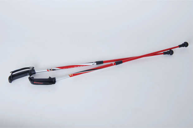 【KIZAKI歩ミングポールスタンダード2　APAI-202】カーブしたグリップや丸形の先端など初心者や高齢者も使いやすい定番モデル。長さは調整可（適用身長は143～183cm）。［（株）キザキ　左右セット価格7500円（税抜き）］