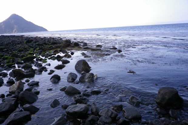ひじき漁が盛んな祝島。事故が起きれば、この「海の宝」も失われる