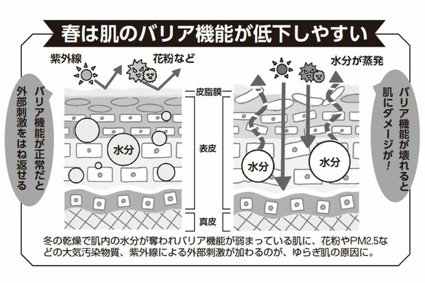 冬の乾燥で肌内の水分が奪われバリア機能が弱まっている肌に、花粉やPM2.5などの大気汚染物質、紫外線による外部刺激が加わるのが、ゆらぎ肌の原因に。