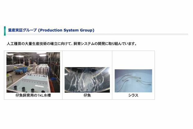 国立研究開発法人『水産研究・開発機構』はウナギの安定供給のための研究を行っている（公式サイトより）